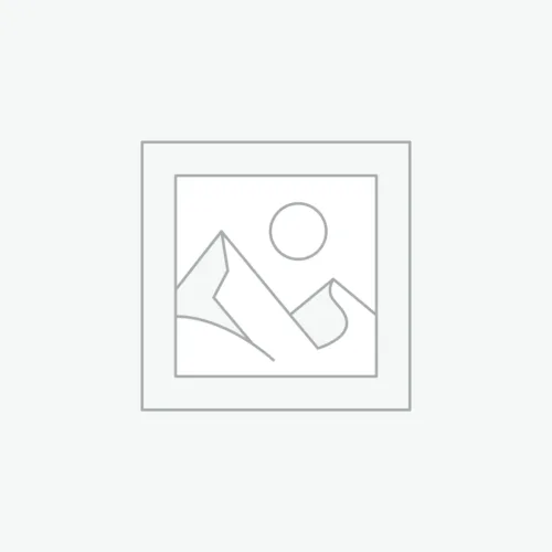 Media & Communication